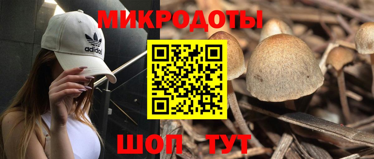 Галлюциногенные грибы ЛСД Дзержинск