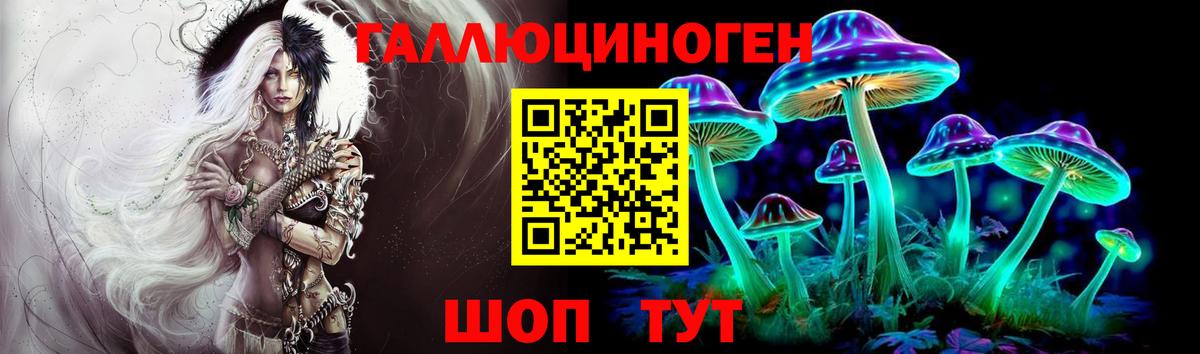 Дзержинск  Псилоцибиновые грибы MAGIC MUSHROOMS  Вход с VPN 